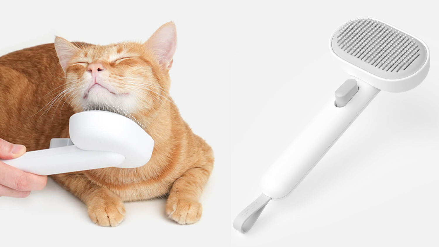 How to Test Cat Grooming Pressure: The Arm Test for a Scratch-Free Experience