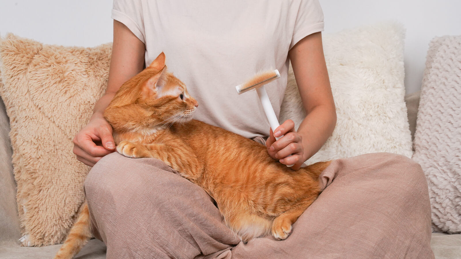 Preventing Furniture Fur BuildUp Can a Deshedding Tool Help?