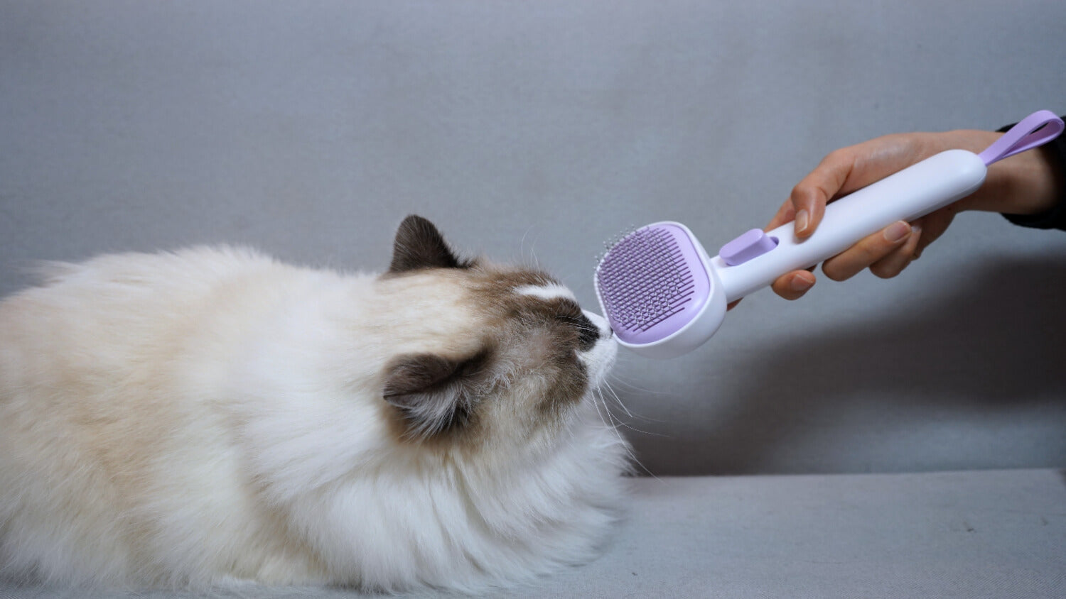 The 2026 Guide to Stress-Free Grooming: The Magic of the One-Click Slicker Brush