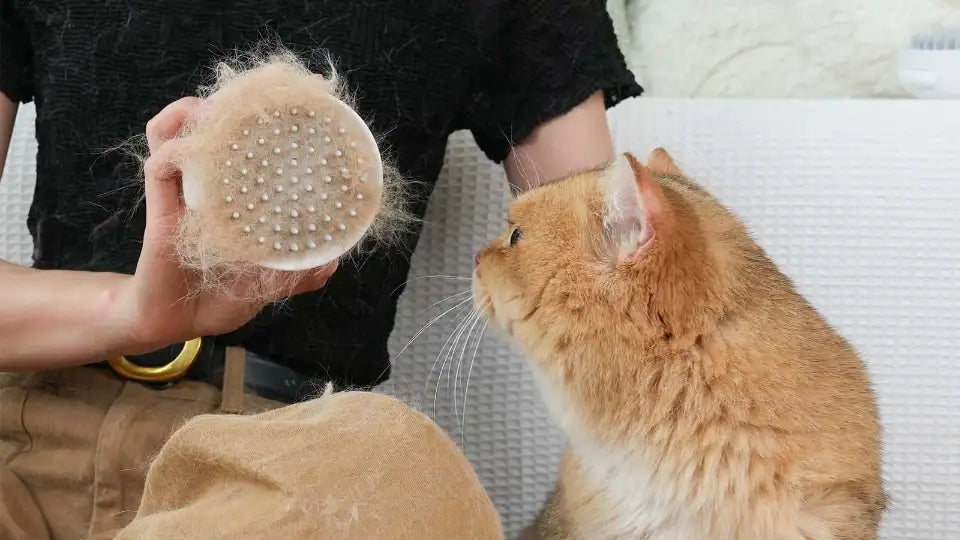 aumuca Best Cat Brush, Shedding & Grooming for Short and Longhair Cats