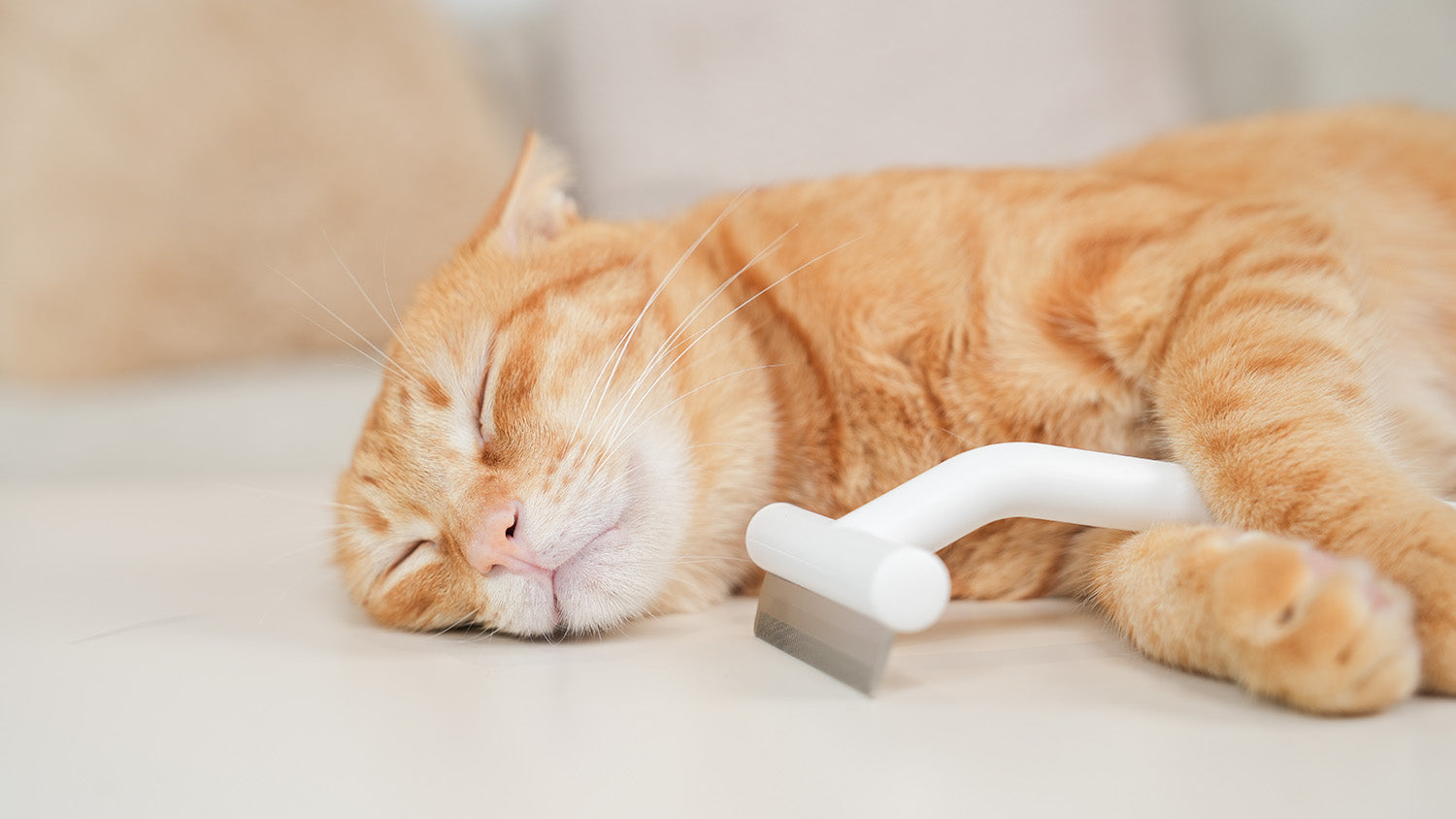 Is your wrist hurting after grooming?