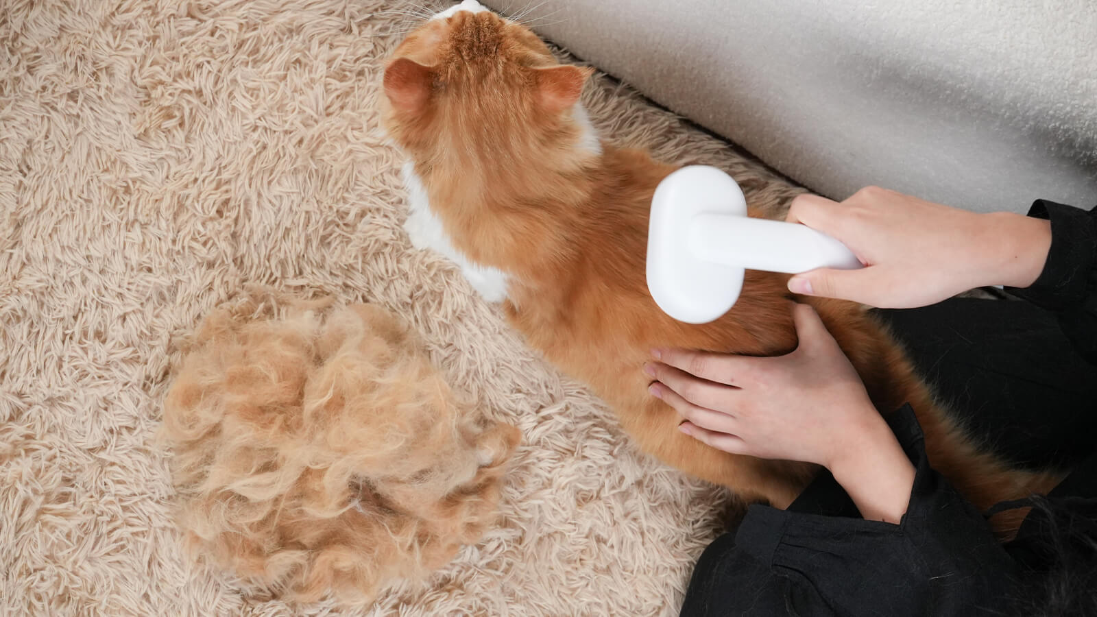 Can Self-Cleaning Brushes Be Used on Long-haired Cats