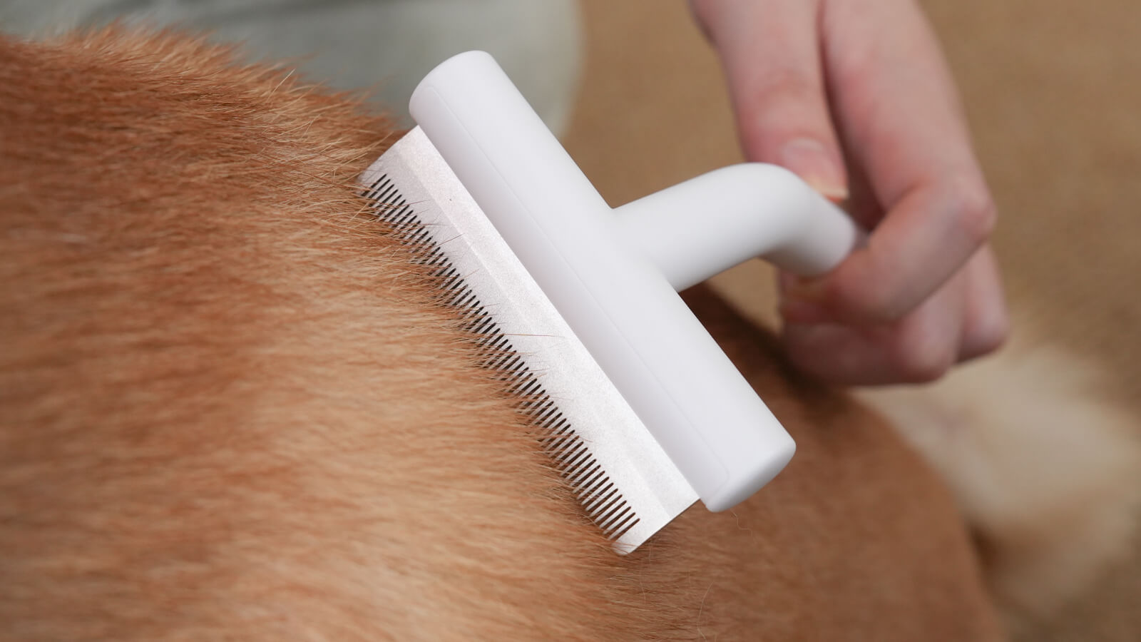 Deshedding Loop Choosing the Right Deshedding Tool: What You Need to Know