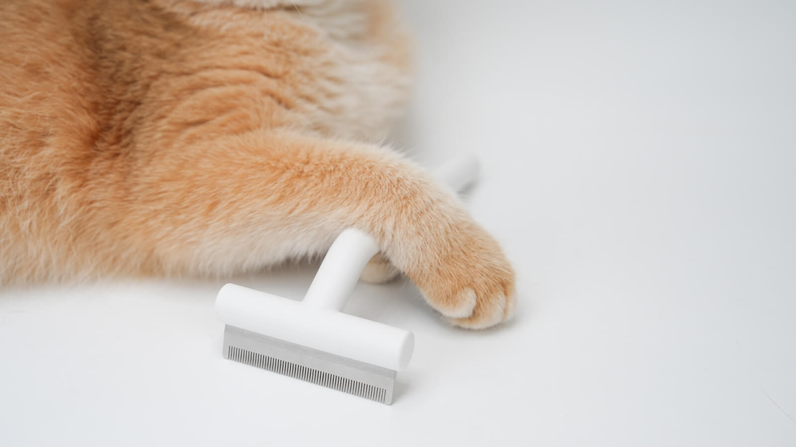 Deshedding Tools Are They Worth the Hype for Minimal Shedders?