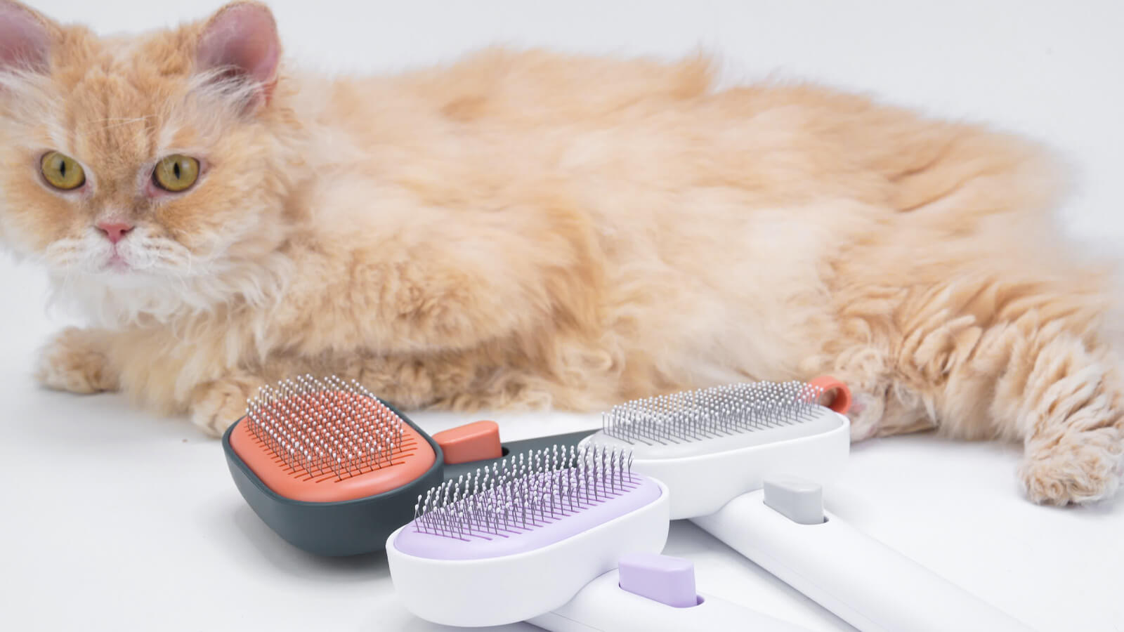 aumuca | Best Cat Brush for Shedding | Cat Grooming Tools Pet Supplies