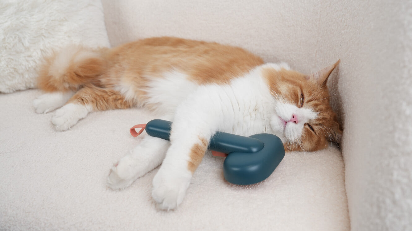 Cat Grooming Made Easy: Self-Cleaning Brush for Anxious Pets