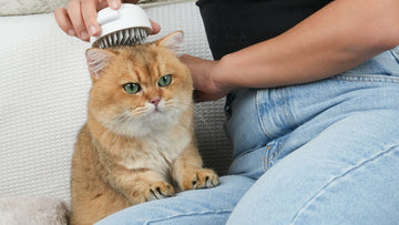 cats enjoy massage by aumuca silicone brush soft and safe