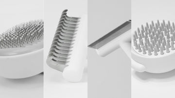 How Do Different Cat Brushes Meet Basic Grooming Needs?