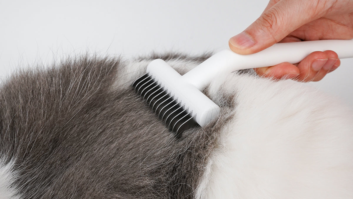 Undercoat Rake Usage Skills | Steps | Note