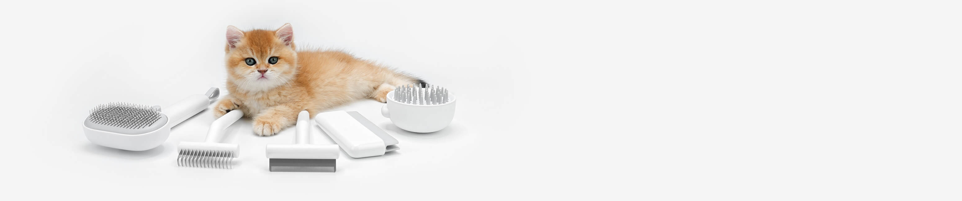 aumuca Best Cat Brush, Shedding & Grooming for Short and Longhair Cats