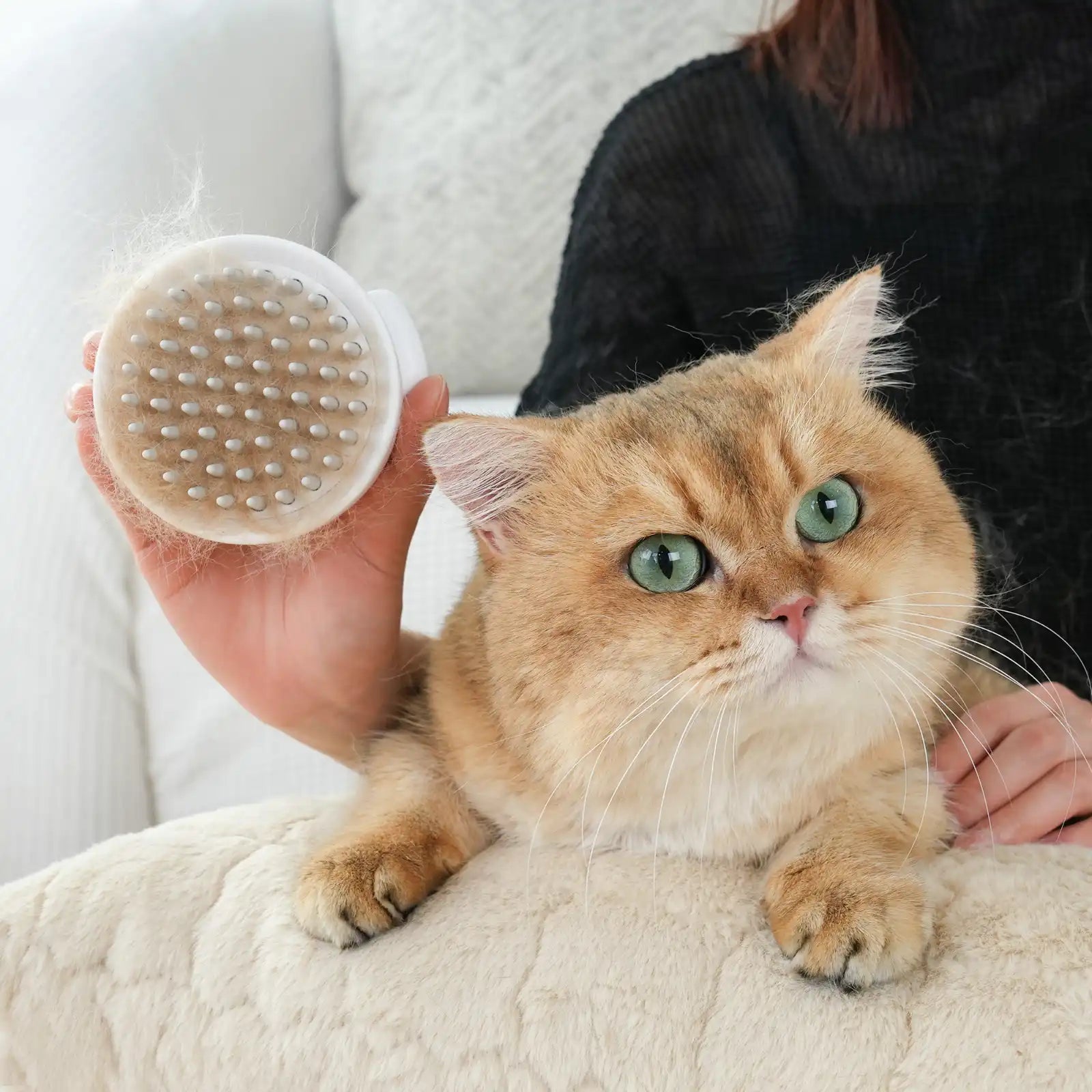 aumuca self cleaning Silicone Jellyfish Shampoo Brush for Long and short Hair Cats, Shower Wash Curry Brush, cat Massage brush with released button with short hair cat