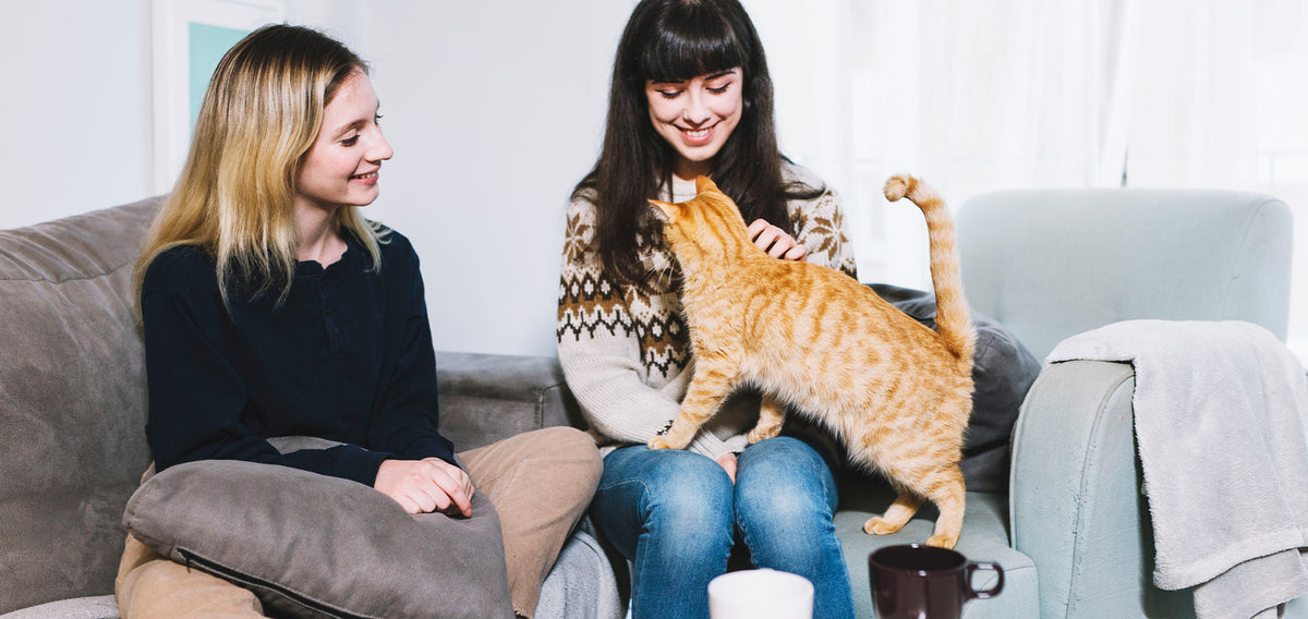 aumuca mission and pet companionship