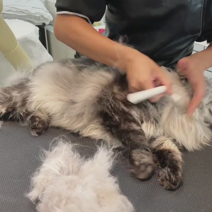 For Long Haired Cats Dematting and Efficient Shedding aumuca Cat Bru