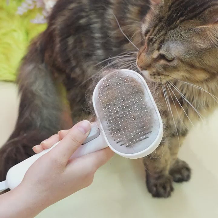 FOR ALL BREEDS OF CATS DAILY GROOMING aumuca CAT BRUSHES PACKAGE