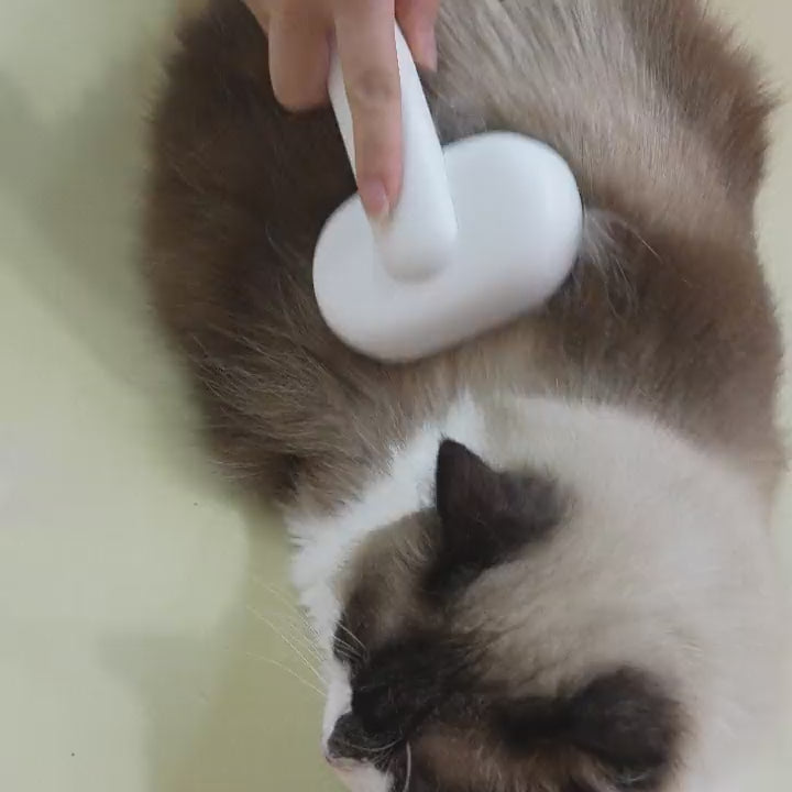 For All Breeds of Cats Daily Grooming aumuca Cat Brushes Package