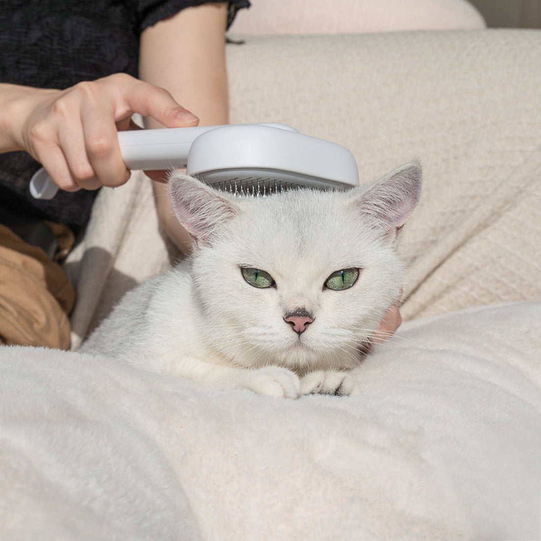 aumuca Self Cleaning Slicker Brush | Reduce Undercoat Loose Hair